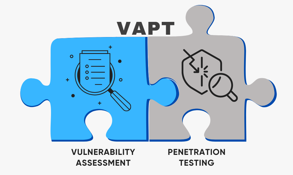 VAPT Service